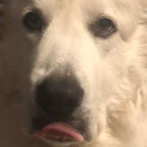 Meet your Posher, Marilyn